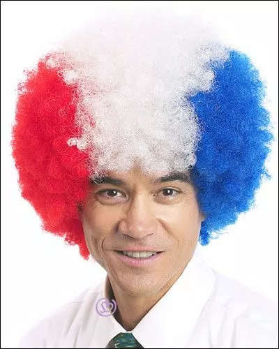 Afro L By New Look Costume Wigs