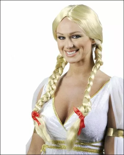 Indian Girl / Braided Girl By New Look Costume Wigs