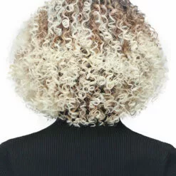 Wigs For Black Women Ninian | Lace Front Synthetic Wig By Bobbi Boss