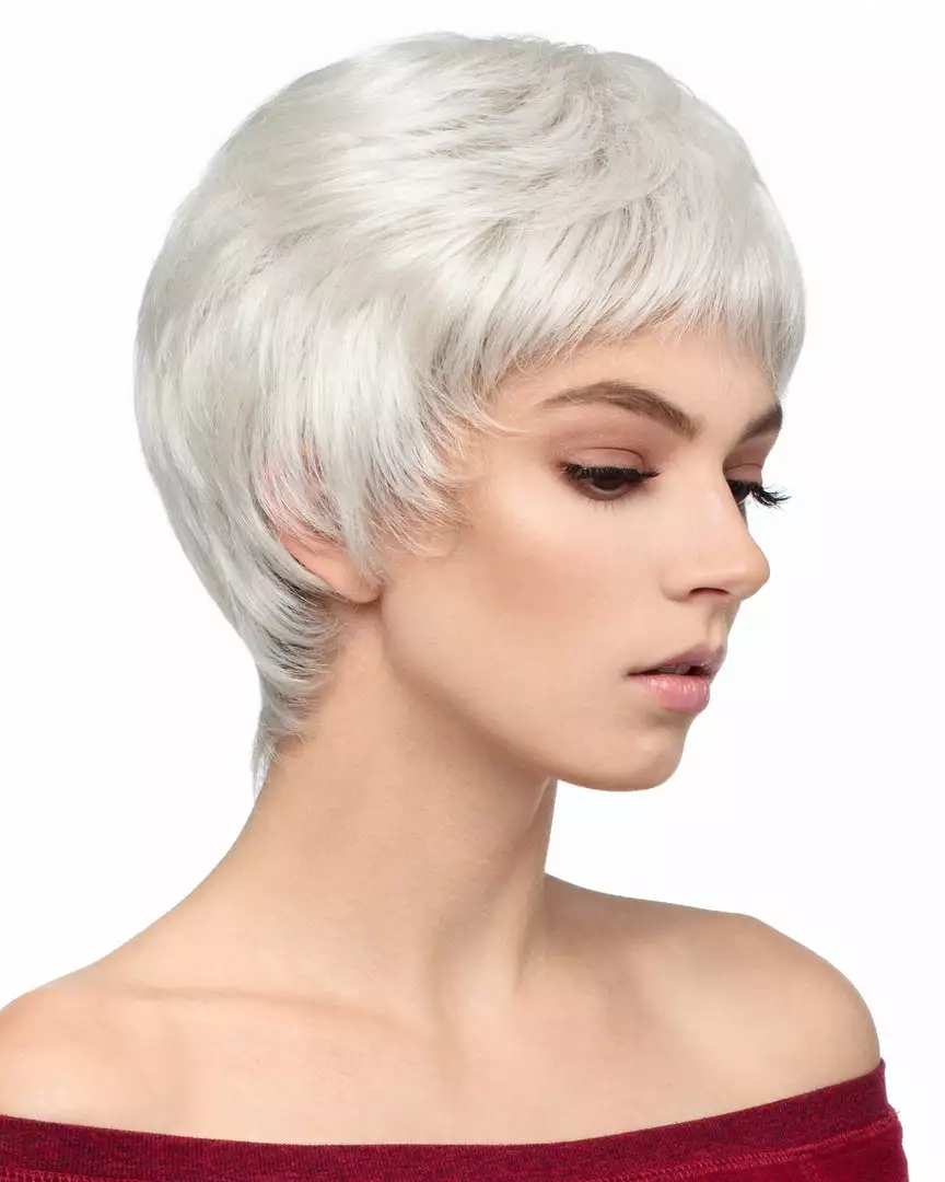 Wigs For Women Anaheim | Lace Front & Monofilament Synthetic Wig By Dream USA