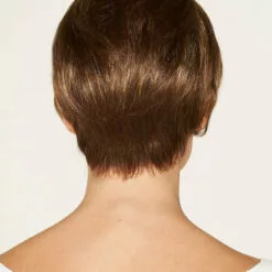 Wigs For Women Reno | Lace Front & Monofilament Synthetic Wig By Dream USA