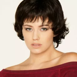 Wigs For Women Tucson | Lace Front & Monofilament Synthetic Wig By Dream USA