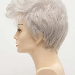 Wigs For Women Raven | Lace Front Synthetic Wig By Envy