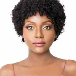 Wigs For Black Women HH Dia | Human Hair Wig By It's A Wig