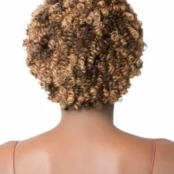 Wigs For Black Women HH Dia | Human Hair Wig By It's A Wig