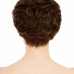 Diana | Lace Front & Monofilament Synthetic Hair Wig By Louis Ferre