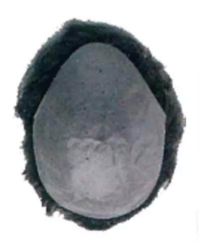 Ready To Wear | Men's Hairpiece By Leading Man Toupee For Men