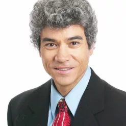 Peter | Men's Wig By New Look