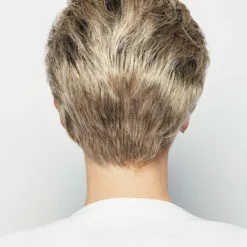 Winner Elite | Lace Front & Monofilament Top Synthetic Wig By Raquel Welch Wigs For Women